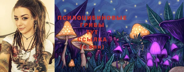 спайс Заводоуковск