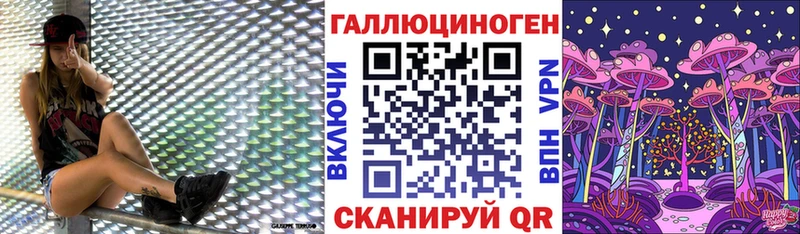 Псилоцибиновые грибы Cubensis  Купить закладки  Новомичуринск 